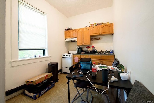 kitchen with sink and white stove