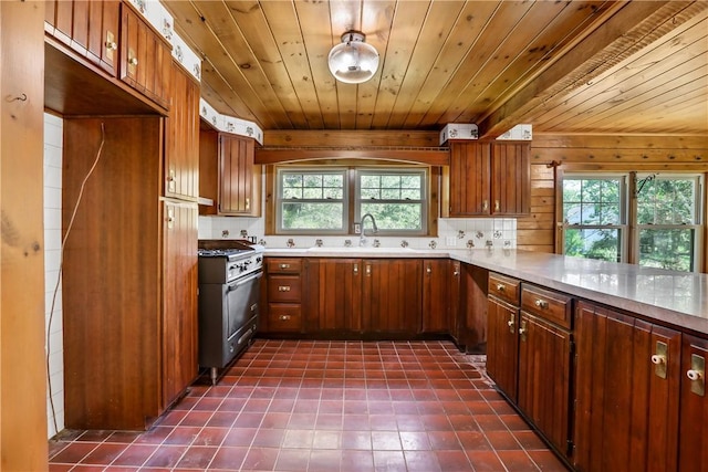 kitchen with high end stainless steel range oven, a wealth of natural light, wooden ceiling, and sink