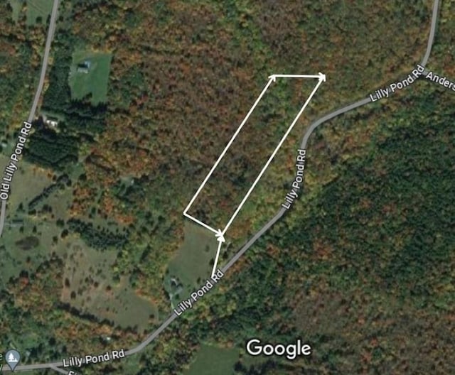 Lily Pond Rd, Parksville NY, 12768 land for sale