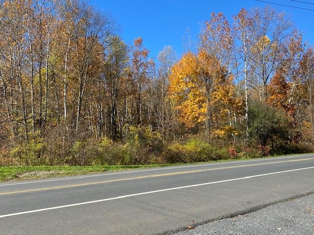 TBD Route 9w, Highland NY, 12528 land for sale