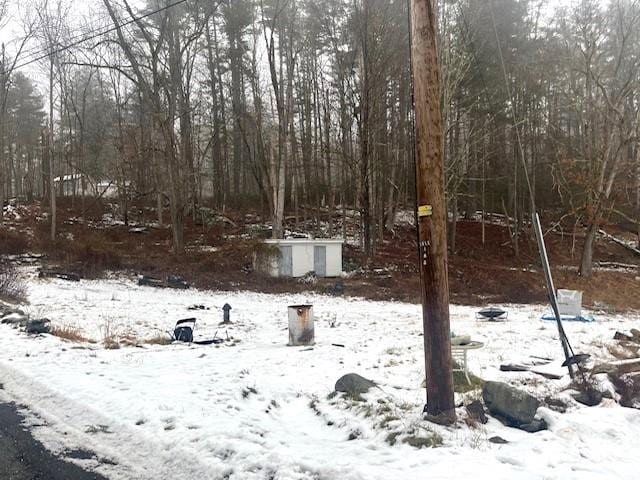 view of yard covered in snow