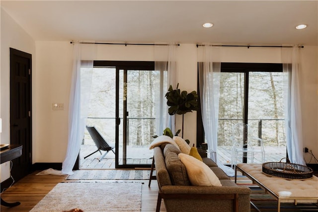 doorway to outside with a wealth of natural light and light hardwood / wood-style flooring