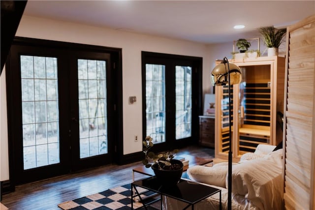 doorway featuring french doors, a healthy amount of sunlight, and dark hardwood / wood-style floors