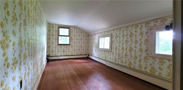 bonus room with a healthy amount of sunlight, dark hardwood / wood-style flooring, and lofted ceiling