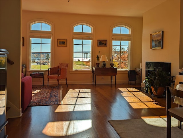 interior space with dark wood finished floors and baseboards