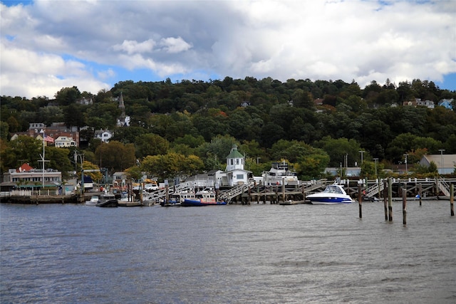 view of water feature featuring a boat dock and a view of trees