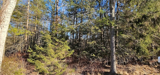 Listing photo 2 for LOT57.1 Yulan-Barryville Rd, Barryville NY 12719