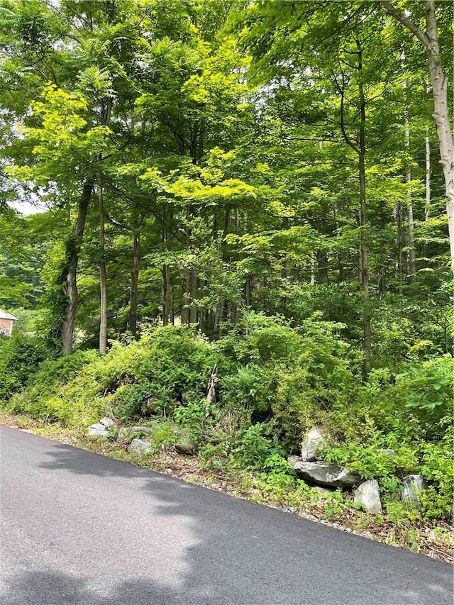 Wiccopee Rd, Putnam Valley NY, 10579 land for sale