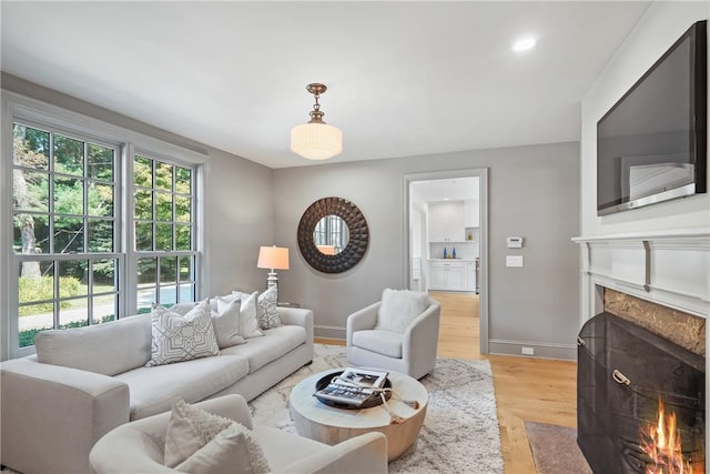 living room with a fireplace and light hardwood / wood-style flooring