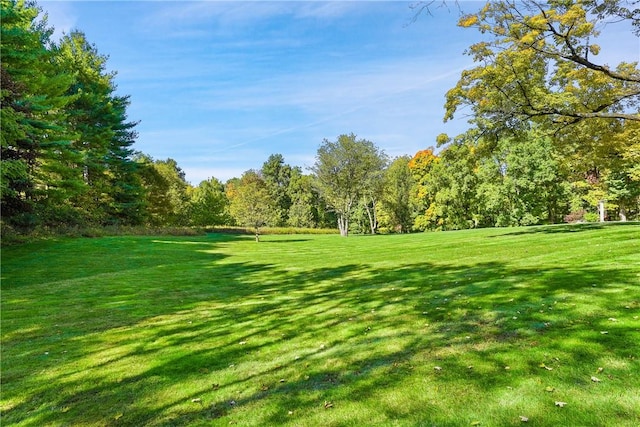 view of home's community with a lawn