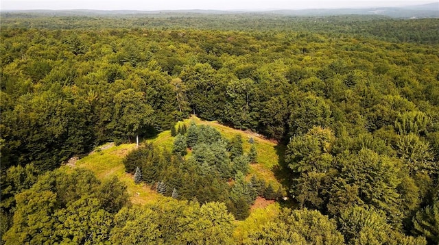 Cranberry Rd, Greenfield Park NY, 12435 land for sale