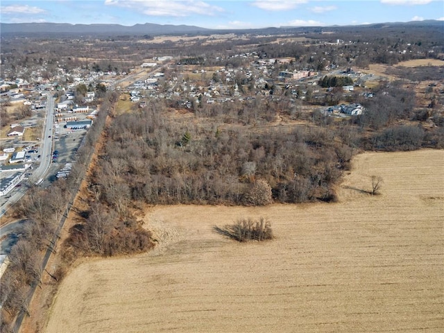 Buena Vista Ave, Wallkill NY, 12589 land for sale