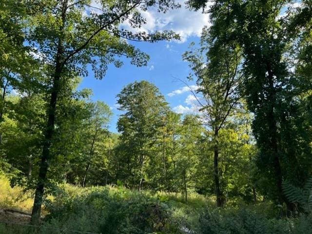 3405 Rte 52, Stormville NY, 12582 land for sale