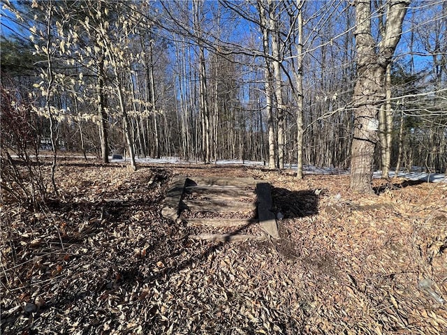 LOT6.2 W State Route 52, Loch Sheldrake NY, 12759 land for sale