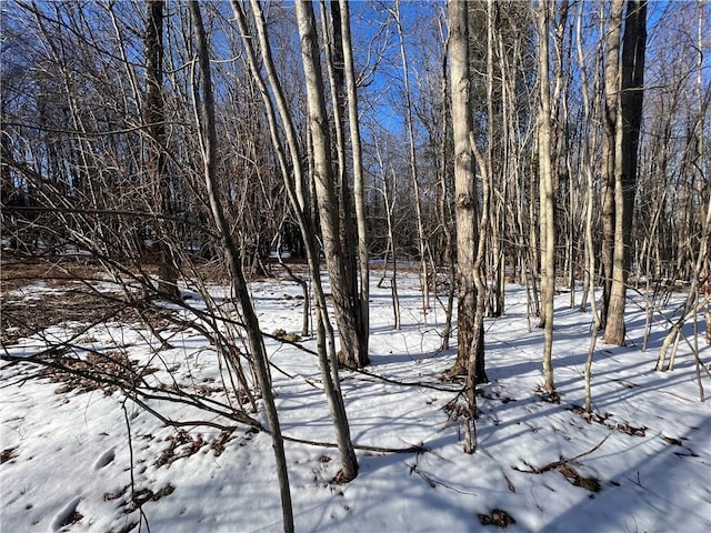 Listing photo 3 for LOT6.2 W State Route 52, Loch Sheldrake NY 12759