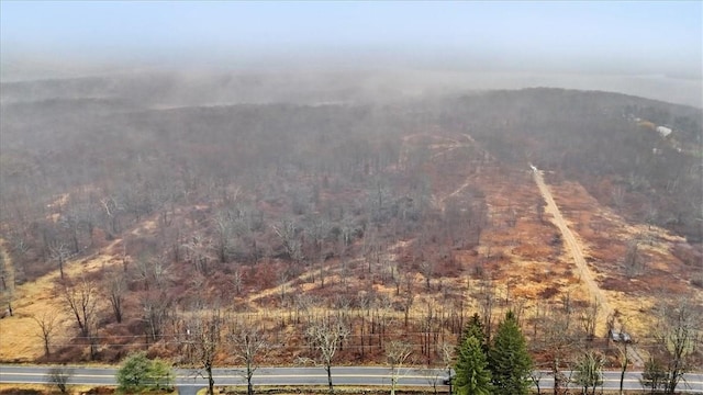 view of mountain feature