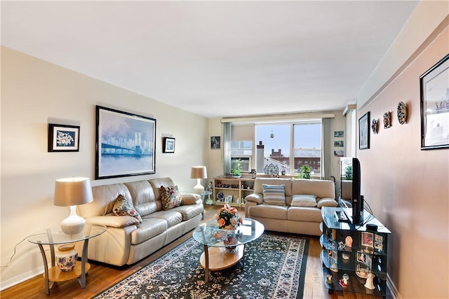 living room with hardwood / wood-style flooring