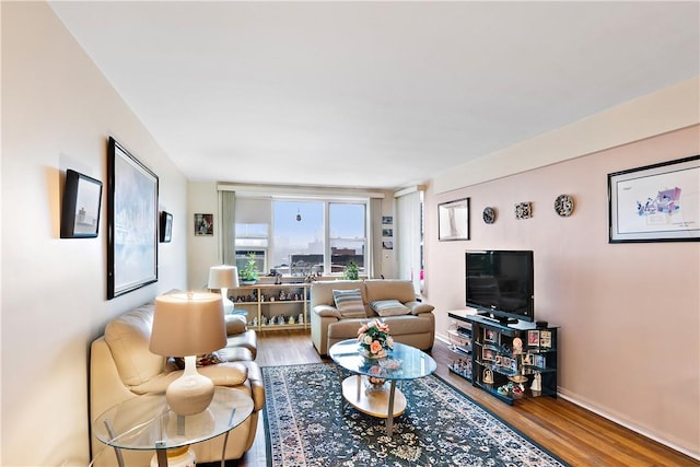 living room with wood-type flooring