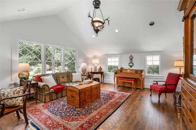 living room featuring hardwood / wood-style floors and high vaulted ceiling