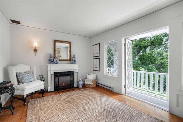 sitting room with wood-type flooring, plenty of natural light, and a baseboard heating unit