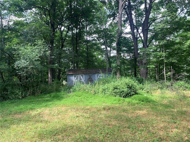 view of yard featuring a shed