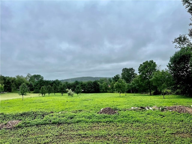 view of yard featuring a rural view