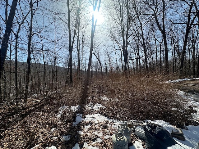 view of snowy landscape