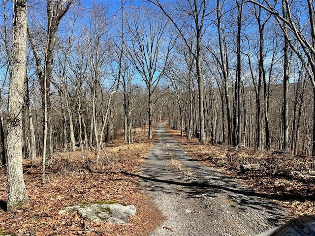 view of road