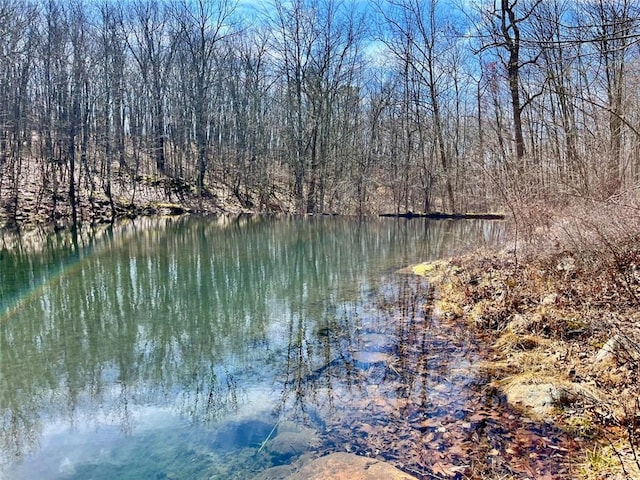 property view of water