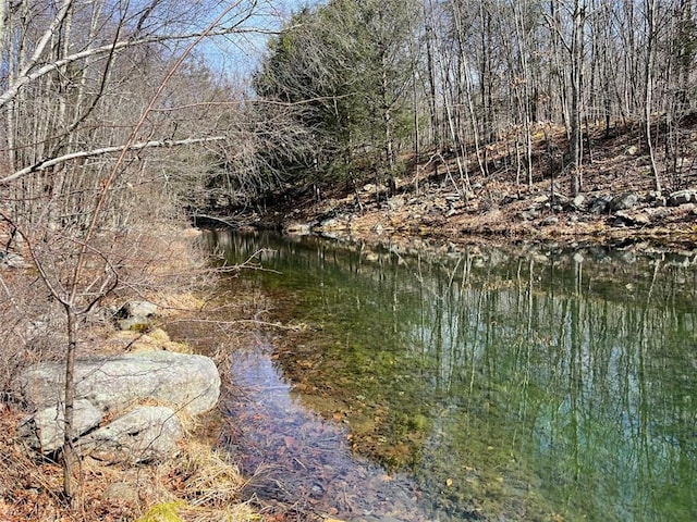 view of water feature