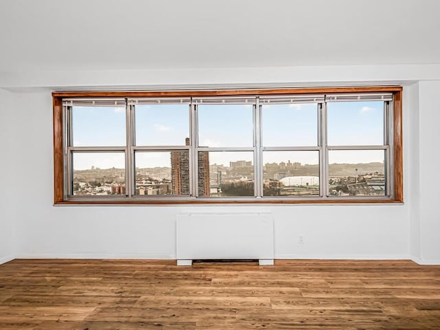 empty room with a wealth of natural light and hardwood / wood-style flooring