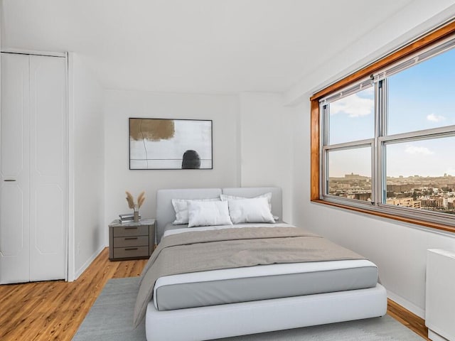 bedroom featuring light wood-type flooring and a closet