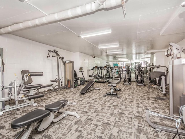 exercise room featuring carpet