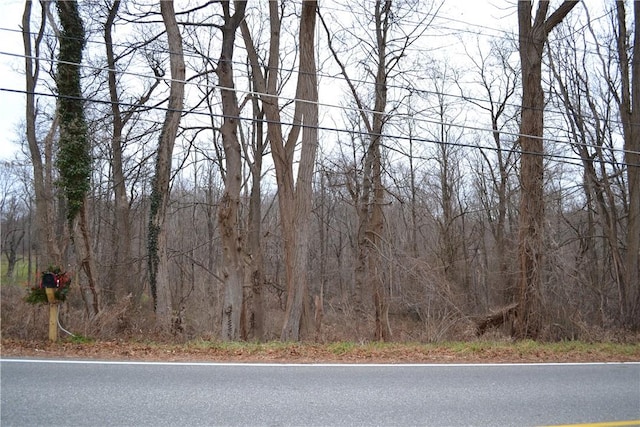 Listing photo 3 for Kirby Hill Rd, Pawling NY 12564