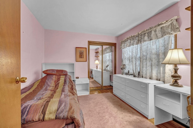 138 Reinhardt Rd, Middletown, NY 10940 - bedroom featuring light wood-style floors, a closet, and baseboard heating