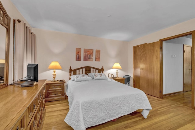 138 Reinhardt Rd, Middletown, NY 10940 - bedroom with light wood-style flooring