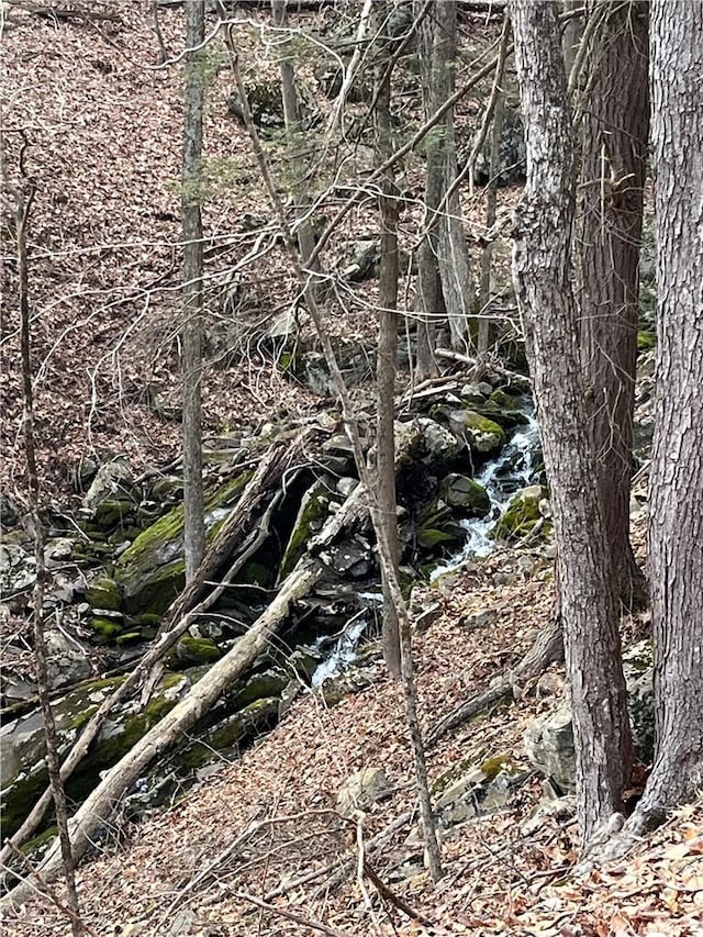 view of landscape with a water view