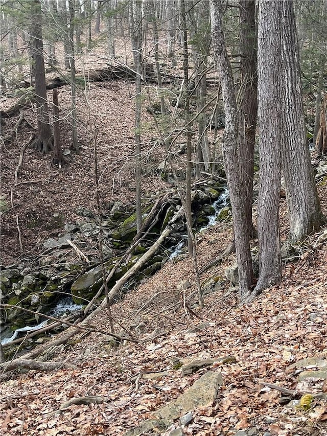 151 State Route 97, Barryville, NY 12719 - view of undeveloped land