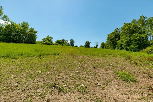 view of landscape with a rural view