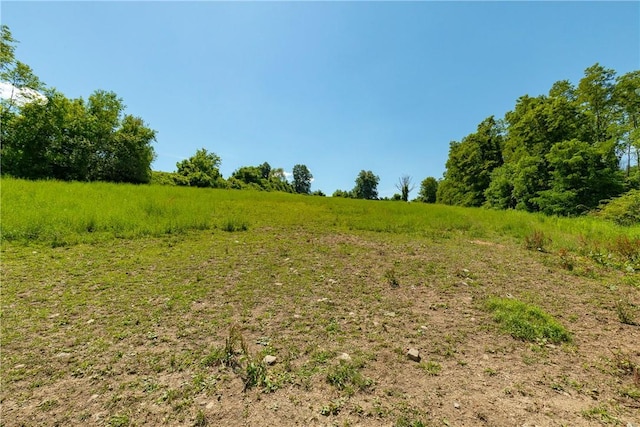4 Browning Rd, Hyde Park, NY 12538 - photo 20