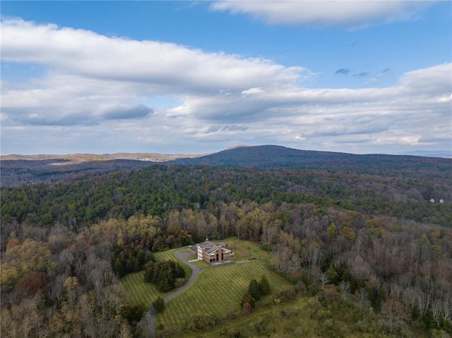 drone / aerial view featuring a mountain view