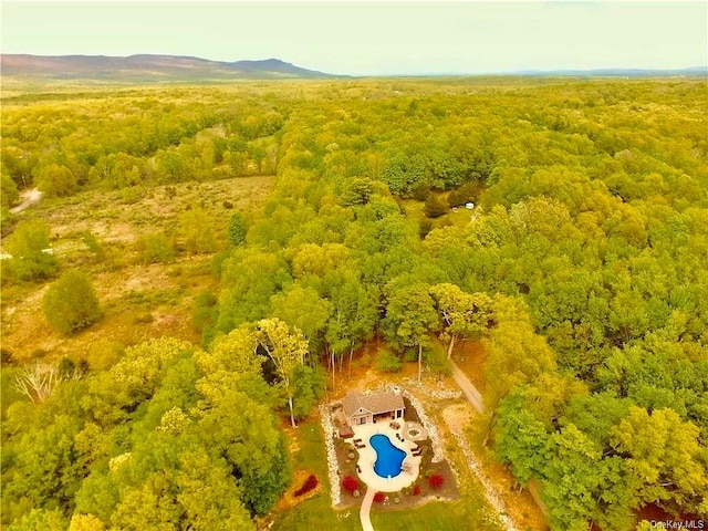 birds eye view of property featuring a mountain view