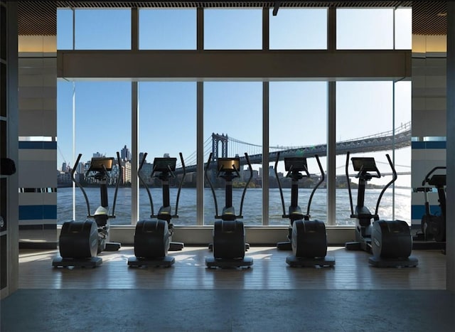 exercise room with a water view and a healthy amount of sunlight