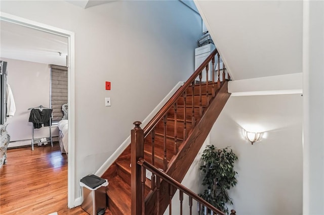 stairway with hardwood / wood-style floors