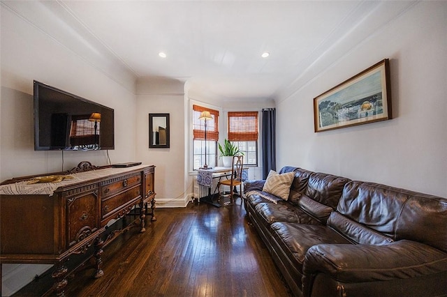 living room featuring crown molding and dark hardwood / wood-style floors