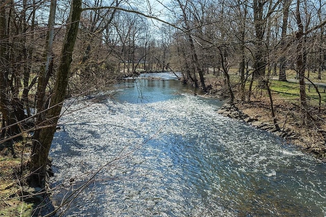 view of water feature