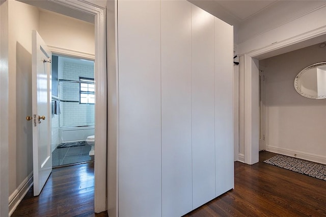 hall featuring dark wood-type flooring