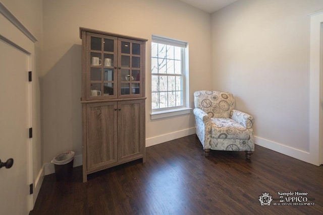 living area featuring dark wood-type flooring