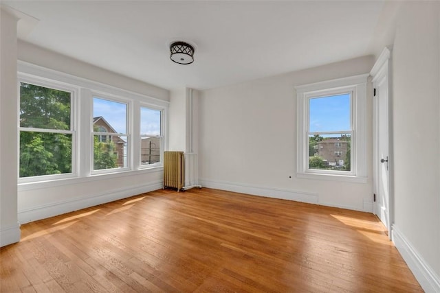 spare room with radiator, light hardwood / wood-style floors, and a wealth of natural light