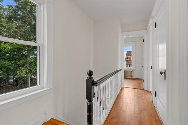 corridor featuring radiator heating unit and light hardwood / wood-style flooring